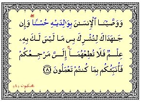 موضوع تعبير عن الام - اجمل ما قيل فى حب الام 1664 1