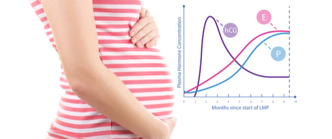 كم نسبة هرمون الحمل ، معلومات مهمة عن الحمل 12956 2