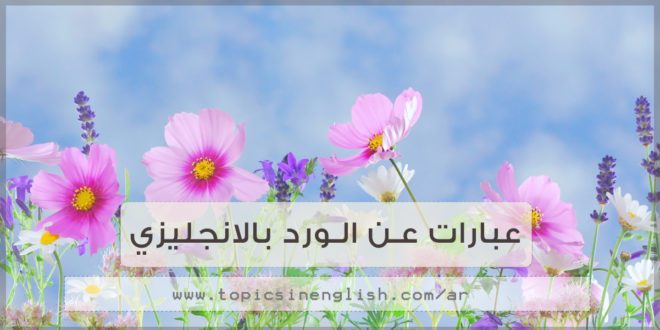 كلمات عن الورد , اروع صور الورود