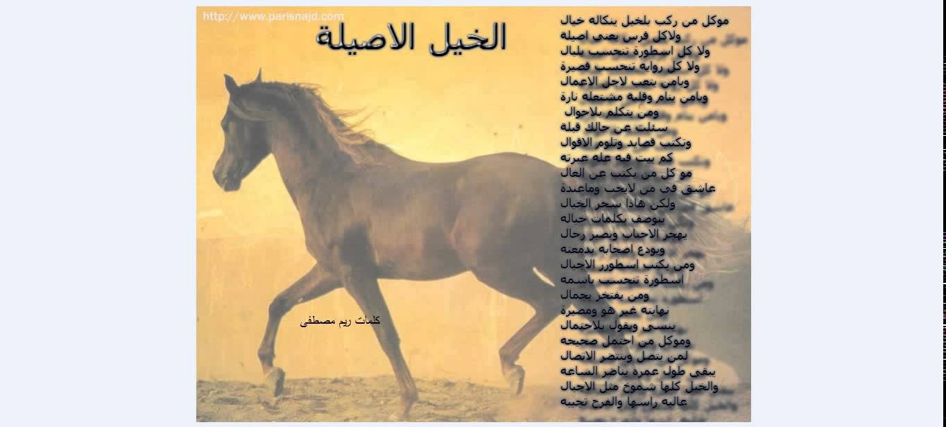 شعر عن الخيل - اجمل ماقيل عن الخيل وصور عنه 2819 5