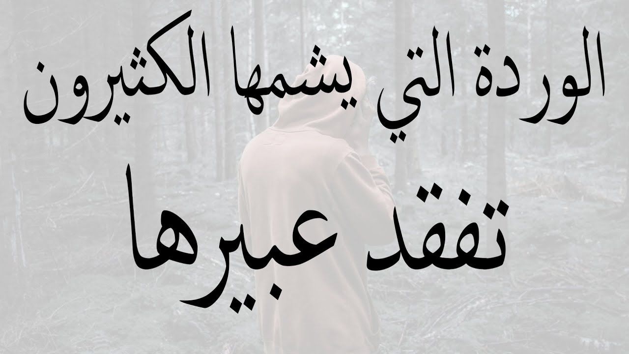 حكم وامثال وكلام من ذهب 4537 2