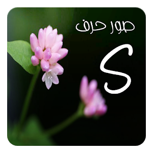 صور حرف س - صور حرف س2019 2344