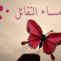 3590 1 مساء الورد حبيبي - اجمل صور المساء والورود كرستينا رضا