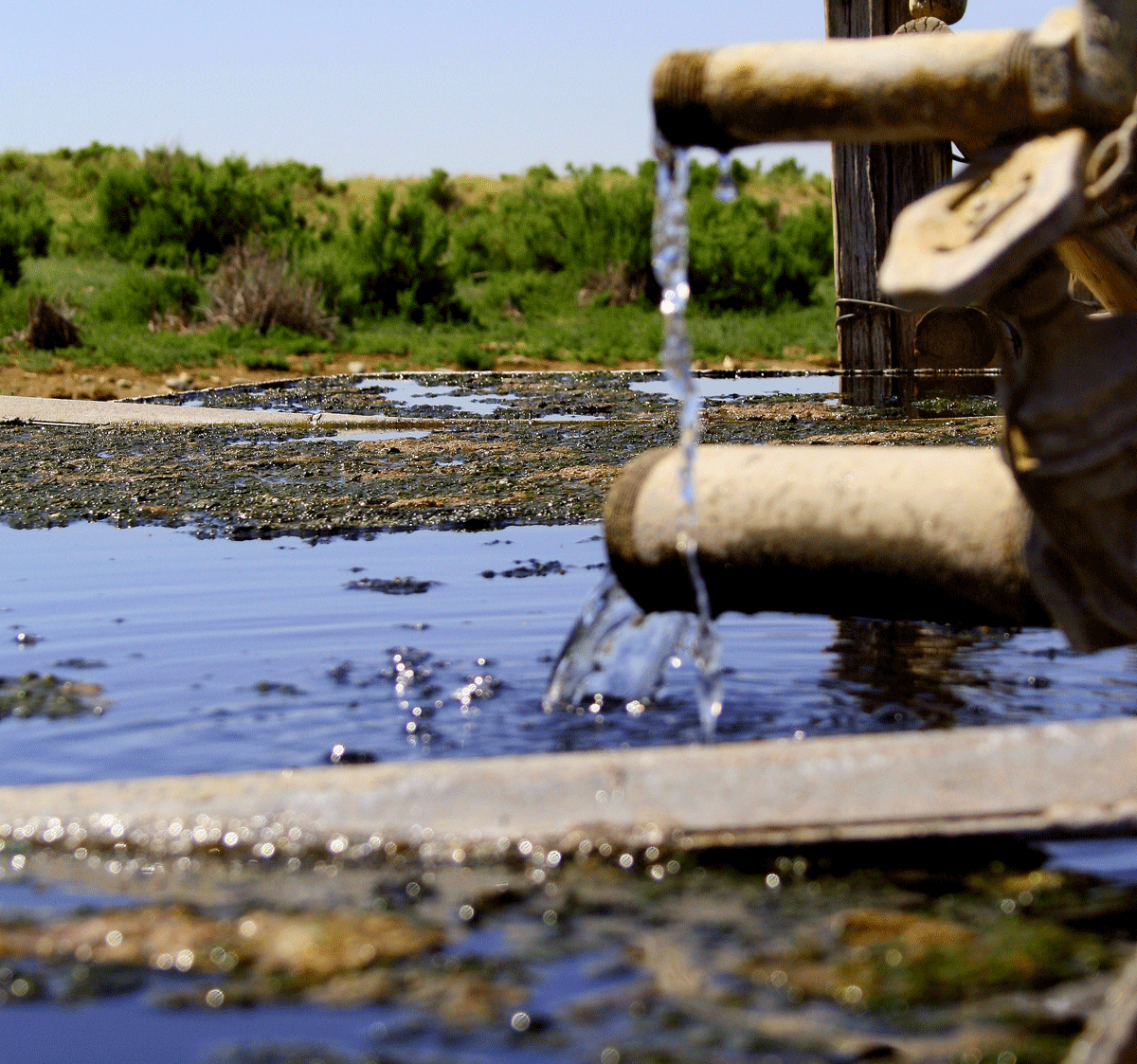 اسباب تلوث الماء , المياة وفوائدها واسباب تلوثها - كلام نسوان