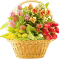 1077 1 اجمل بوكيه ورد - الورود المنسقة تصنع احلى بوكيه ورد الامينة رشيده