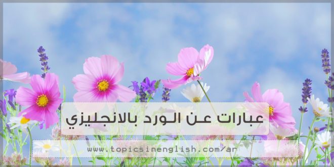 404 11 كلمات عن الورد - اروع صور الورود تحسين نداء
