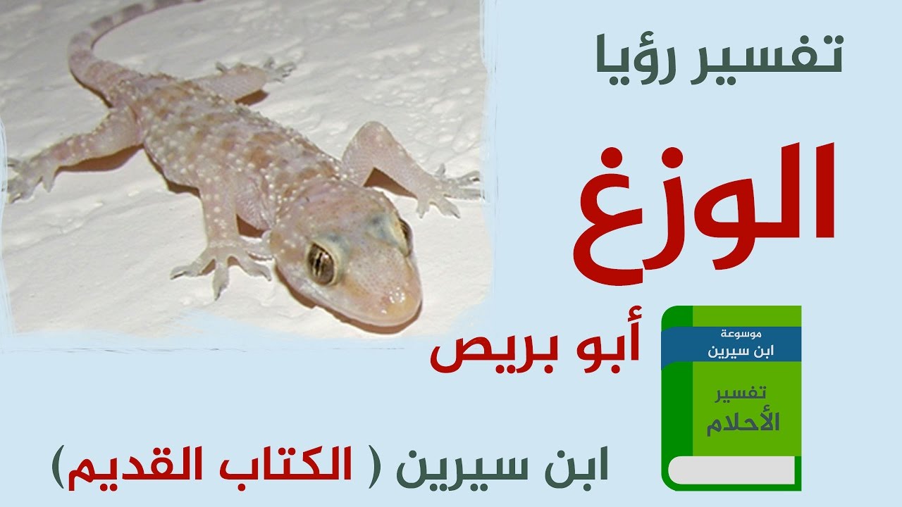 تفسير حلم الوزغ , ما معنى ظهور الوزغ في المنام