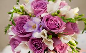 5076 11 صور اجمل الورود - اجمل باقات الورد قاضيه فهمان