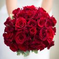 5087 12 بوكيه ورد احمر - باقة زهور حمراء بريئة ثابتة