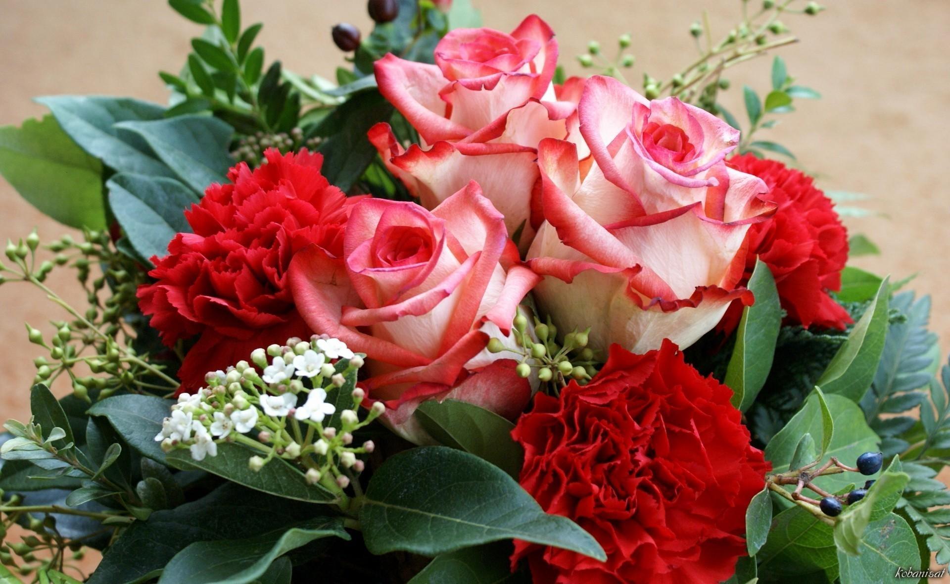 531 10 باقات زهور - اجمل باقات الزهور دينا عمار