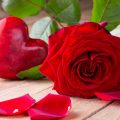 13024 12 صور اجمل الورد - ارق باقات محملة بشذى الزهور نادين ايمن