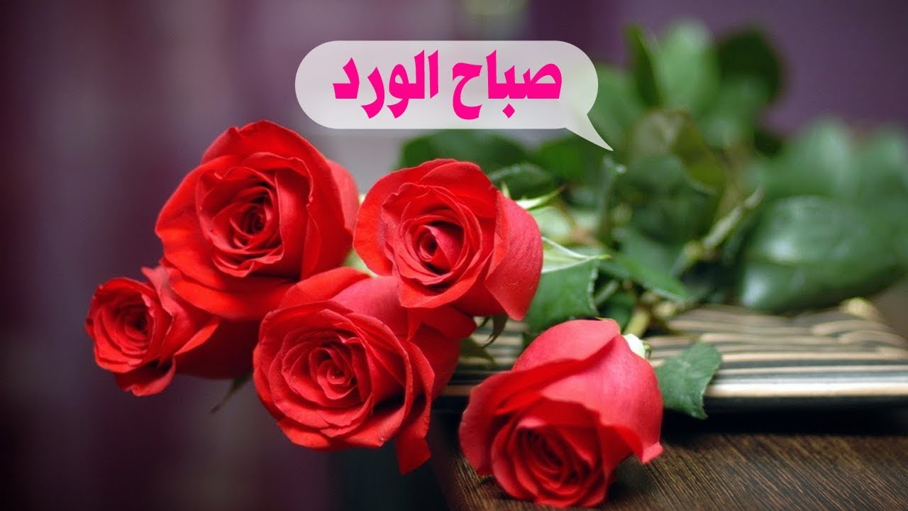 رسائل صباحية - ابدا صباحك برسائل الاحبة 4128 17