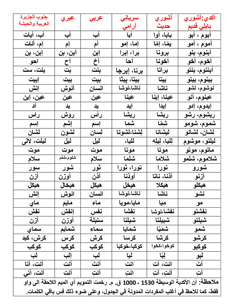 تحجر مضللة الأحد  قاموس اسبانى عربى pdf