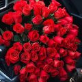4597 12 ورود رومانسية ، اجمل الورود الرومانسيه للعشاق كرستينا رضا