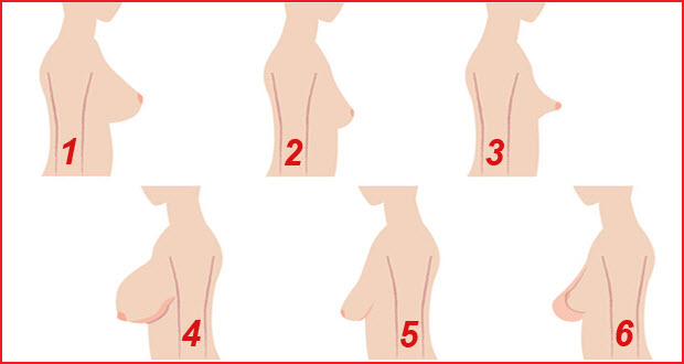 احسن ثدي عند المراة , تعرف على انواع الثدي